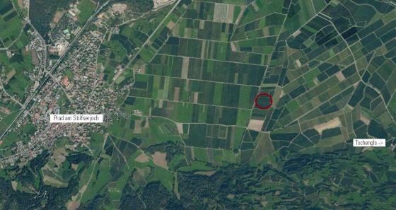 Laas / Tschengls: Obstwiese mit ca. 2.410 m² zu verkaufen Laas / Tschengls: Obstwiese mit ca. 2.410 m² zu verkaufen
