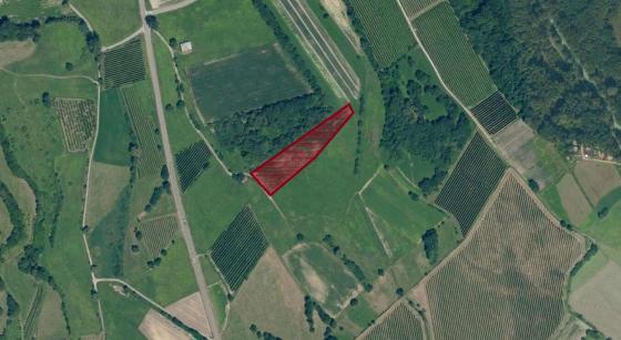 Prad / Lichtenberg: Landwirtschaftliches Grundstück mit ca. 5.200 m² zu verkaufen Prad / Lichtenberg: Landwirtschaftliches Grundstück mit ca. 5.200 m² zu verkaufen