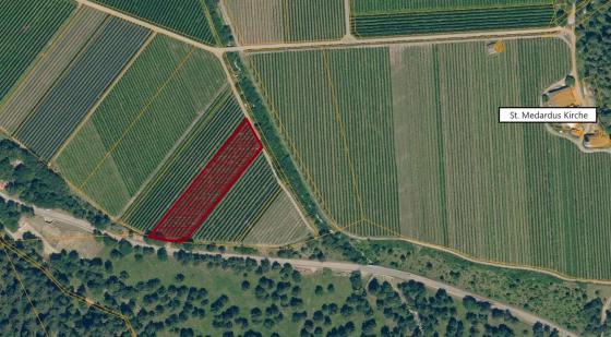 Obstwiese mit ca. 4.200 m² in Tarsch zu verkaufen Obstwiese mit ca. 4.200 m² in Tarsch zu verkaufen