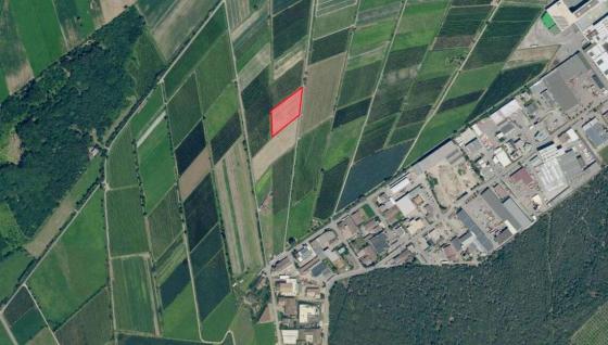 Prad am Stilfserjoch: Landwirtschaftliches Grundstück mit ca. 4.600 m² zu verkaufen Prad am Stilfserjoch: Landwirtschaftliches Grundstück mit ca. 4.600 m² zu verkaufen
