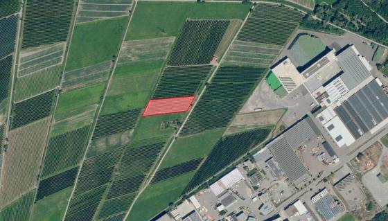 Obstwiese in Prad, nähe der Genossenschaft in sehr guter Lage zu verkaufen Obstwiese in Prad, nähe der Genossenschaft in sehr guter Lage zu verkaufen