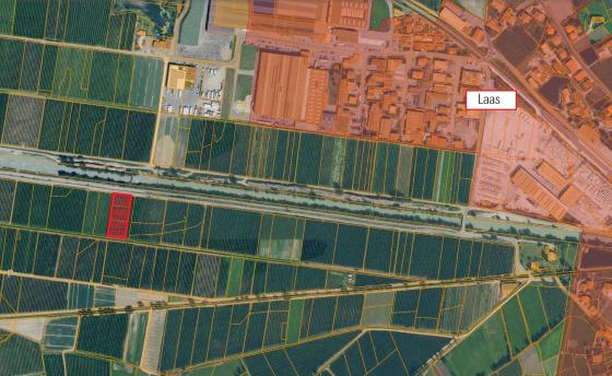 Obstwiese mit ca. 3.147 m² in Laas zu verkaufen Obstwiese mit ca. 3.147 m² in Laas zu verkaufen