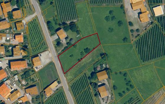Prad am Stilfserjoch/Agums: Streuobstwiese mit ca. 1.900 m² zu verkaufen Prad am Stilfserjoch/Agums: Streuobstwiese mit ca. 1.900 m² zu verkaufen
