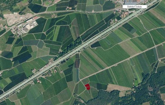 Kastelbell / Tschars: Obstwiese mit ca. 2.000 m² zu verkaufen Kastelbell / Tschars: Obstwiese mit ca. 2.000 m² zu verkaufen