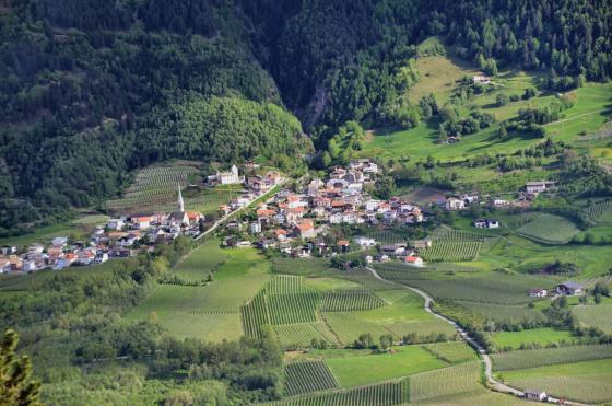 Laas / Tschengls: Obstbaufähige Wiese zu verkaufen Laas / Tschengls: Obstbaufähige Wiese zu verkaufen