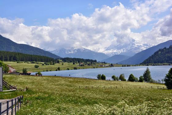 St. Valentin: Landwirtschaftliches Grundstück mit ca. 5.300 m² zu verkaufen St. Valentin: Landwirtschaftliches Grundstück mit ca. 5.300 m² zu verkaufen