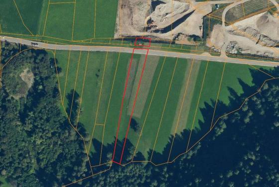 Mals / Laatsch: Wiese mit 3.200 m² zu verkaufen Mals / Laatsch: Wiese mit 3.200 m² zu verkaufen