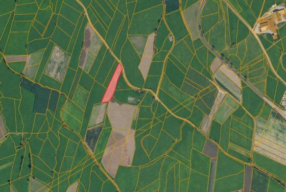 Mals: Landwirtschaftliches Grundstück mit ca. 2.600 m² zu verkaufen Mals: Landwirtschaftliches Grundstück mit ca. 2.600 m² zu verkaufen