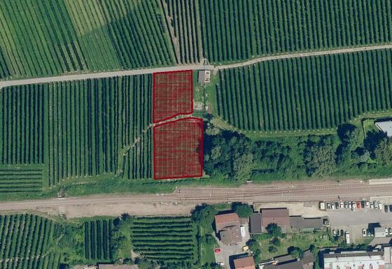 Latsch: Obstwiese mit ca. 1.910 m² zu verkaufen Latsch: Obstwiese mit ca. 1.910 m² zu verkaufen