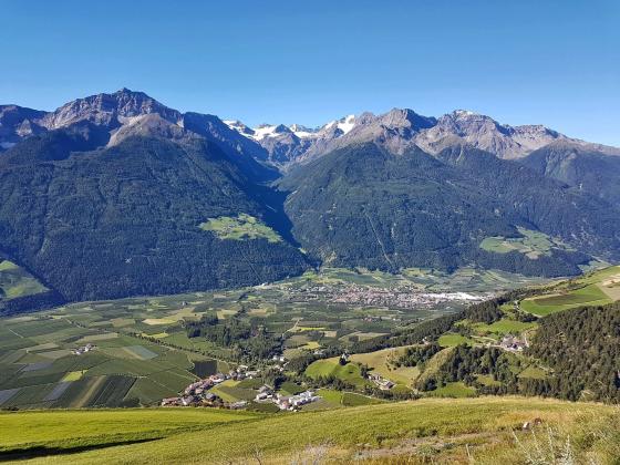 Laas: Obstwiese mit ca. 4.500 m² zu verkaufen Laas: Obstwiese mit ca. 4.500 m² zu verkaufen